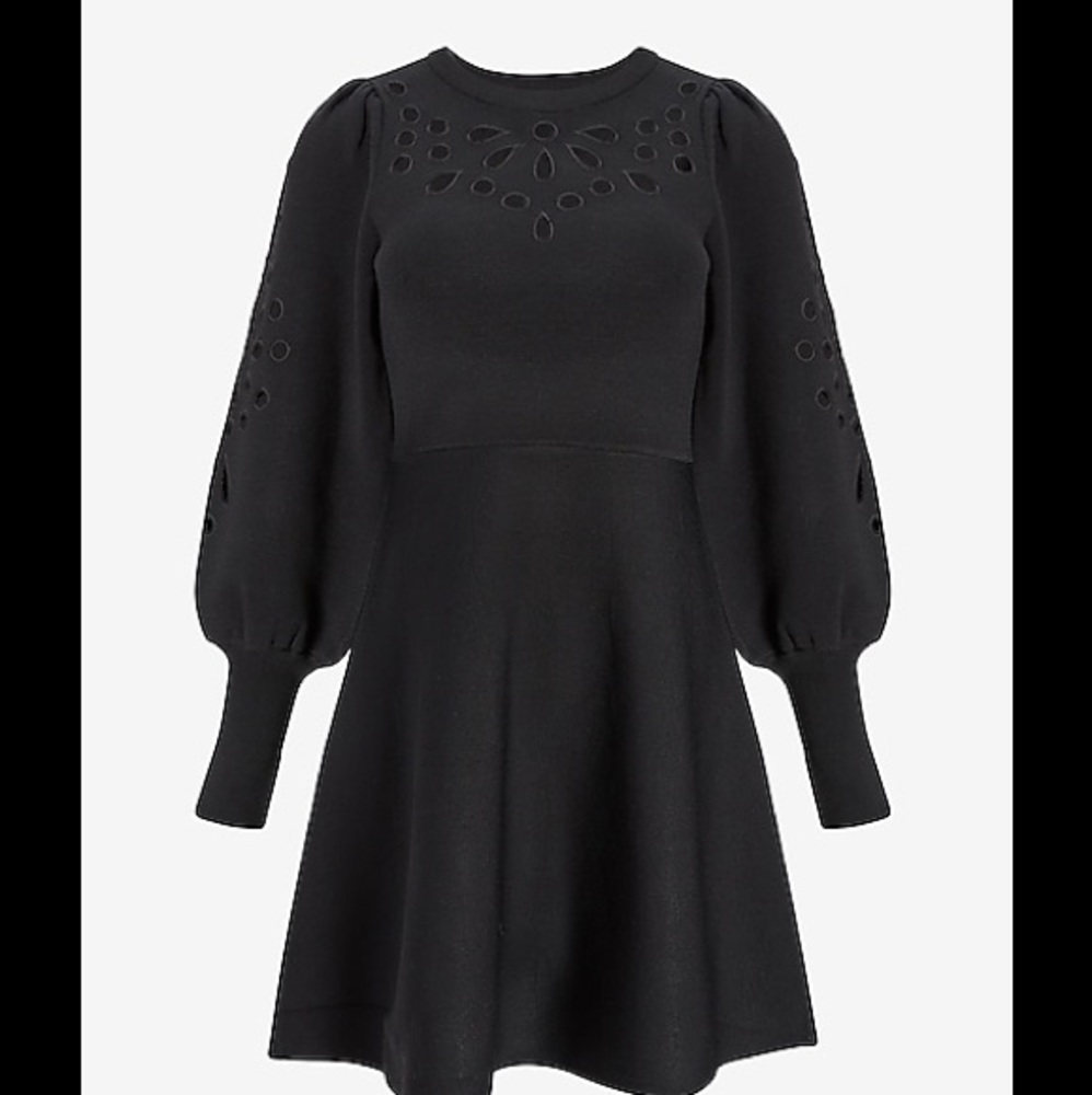 Express Eyelet Lace Fit And Flare Sweater Dress